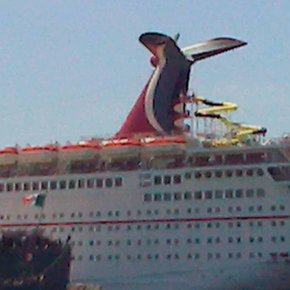 Meet your Posher, Andre - Picture 1 of 1